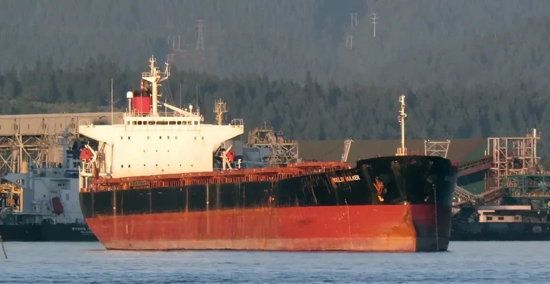 CAPTAIN STEFANOS M Bulk Carrier IMO 9170298 photo 7