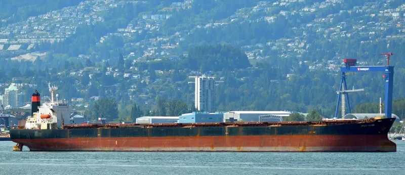 CAPTAIN STEFANOS M Bulk Carrier IMO 9170298 photo 9