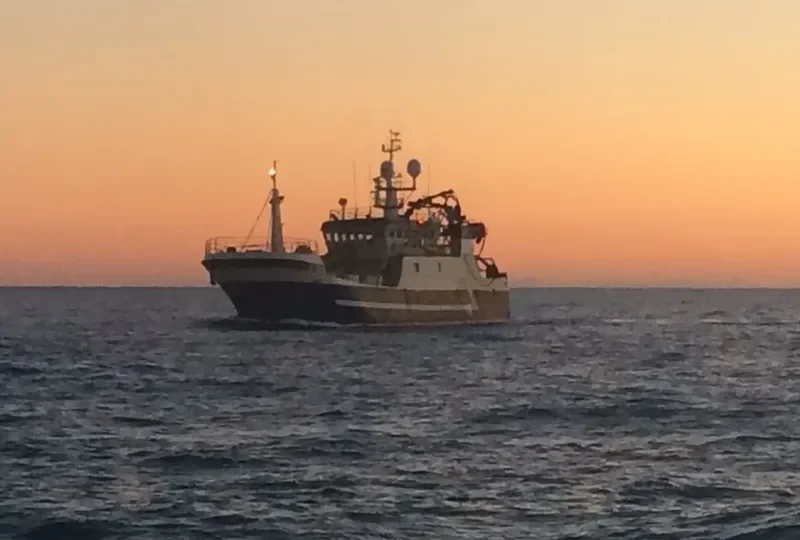 CARMONA General Cargo IMO 9170303 photo 7
