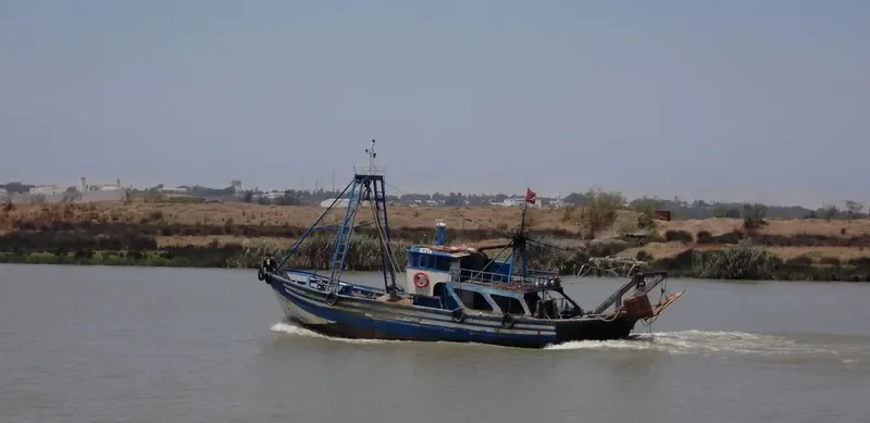 PORT SAID 901 General Cargo IMO 9170494