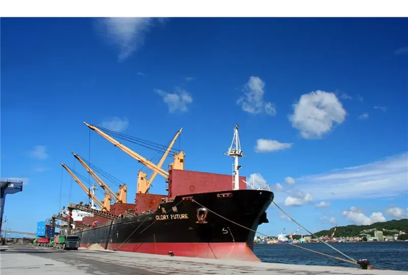 GLORY FUTURE Bulk Carrier IMO 9170652