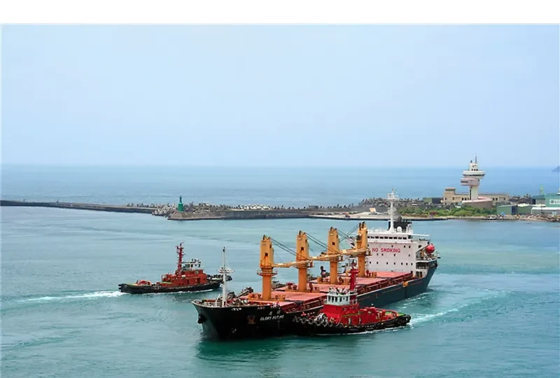 GLORY FUTURE Bulk Carrier IMO 9170652 photo 4