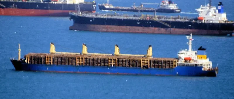 JIN DA LING Bulk Carrier IMO 9170664 photo 2