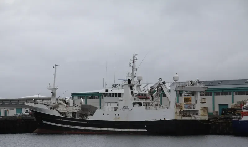 GUDRUN THORKELSDOTTIR General Cargo IMO 9171022 photo 8