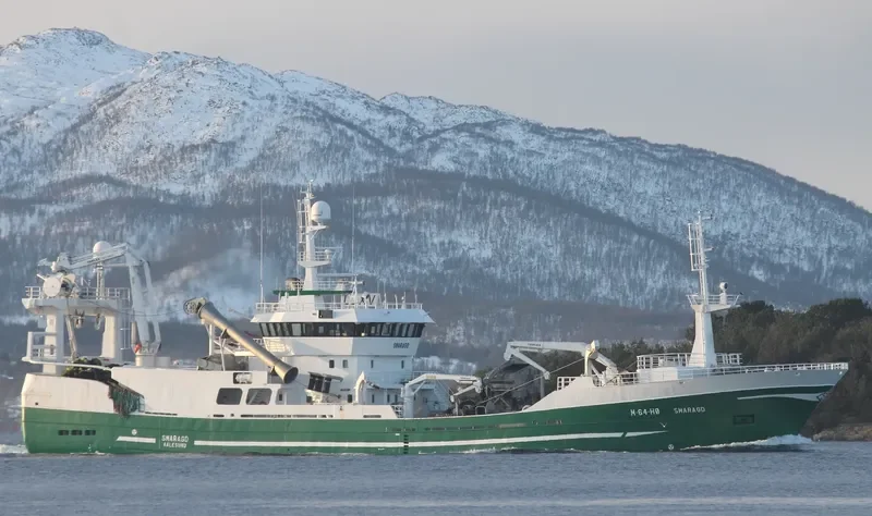 HOFFELL General Cargo IMO 9171034 photo 4