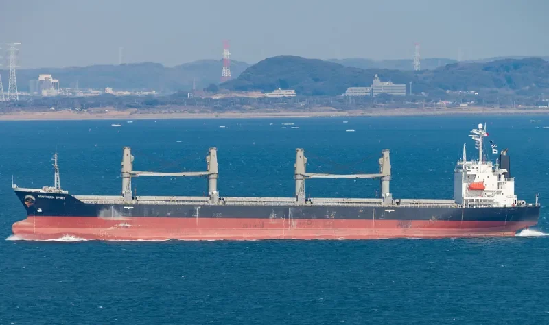 SOUTHERN SPIRIT Bulk Carrier IMO 9171125 photo 6