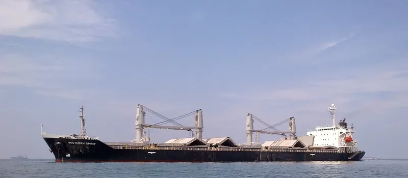 SOUTHERN SPIRIT Bulk Carrier IMO 9171125 photo 7