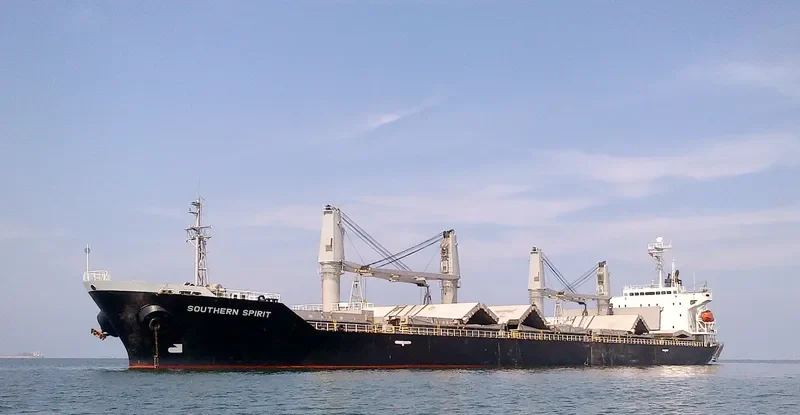 SOUTHERN SPIRIT Bulk Carrier IMO 9171125 photo 8