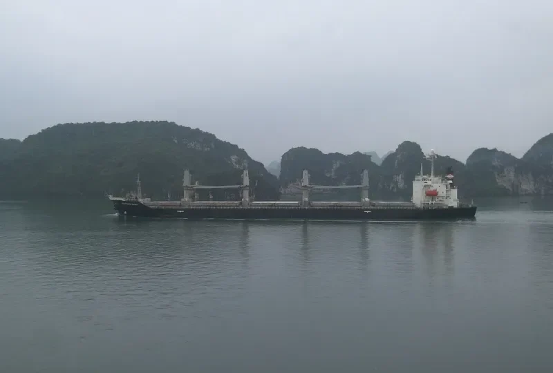 SOUTHERN SPIRIT Bulk Carrier IMO 9171125 photo 9