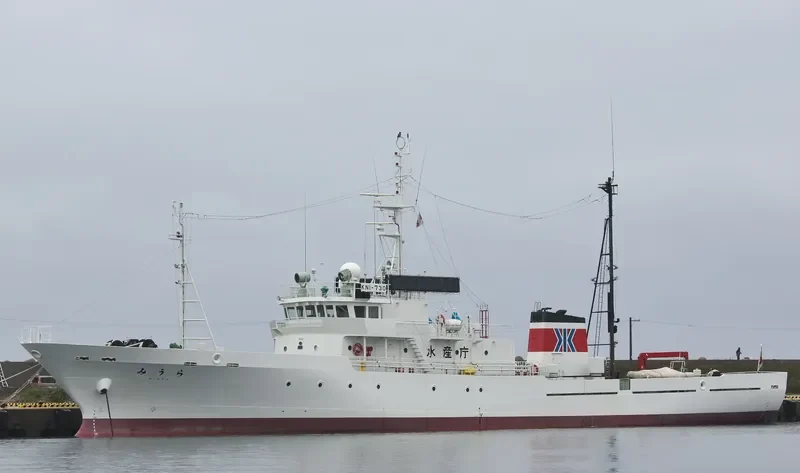 MIURA General Cargo IMO 9171137