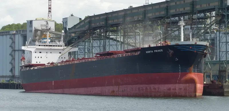 PING AN HAI TAI Bulk Carrier IMO 9171149 photo 3
