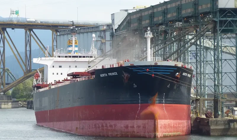 PING AN HAI TAI Bulk Carrier IMO 9171149 photo 4