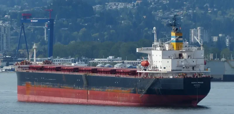 PING AN HAI TAI Bulk Carrier IMO 9171149 photo 6