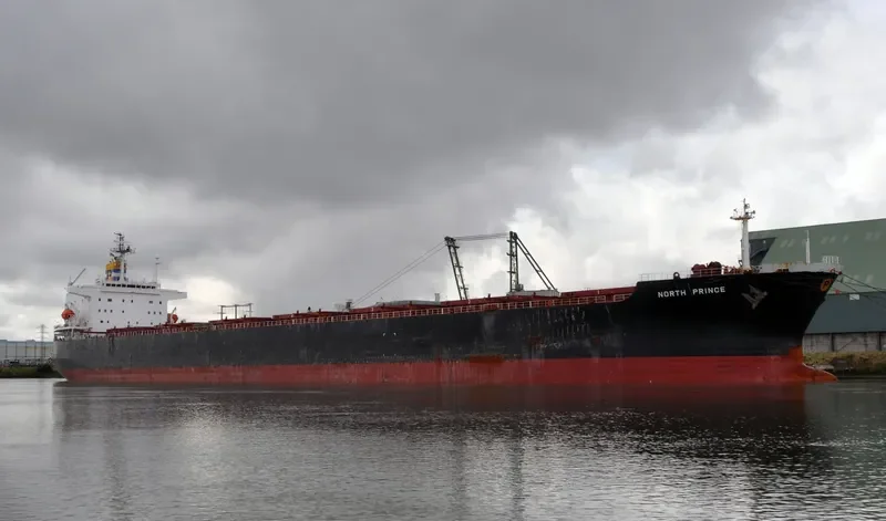 PING AN HAI TAI Bulk Carrier IMO 9171149 photo 10