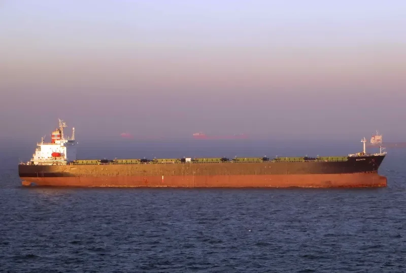GREAT WENCHAO Bulk Carrier IMO 9171151 photo 2