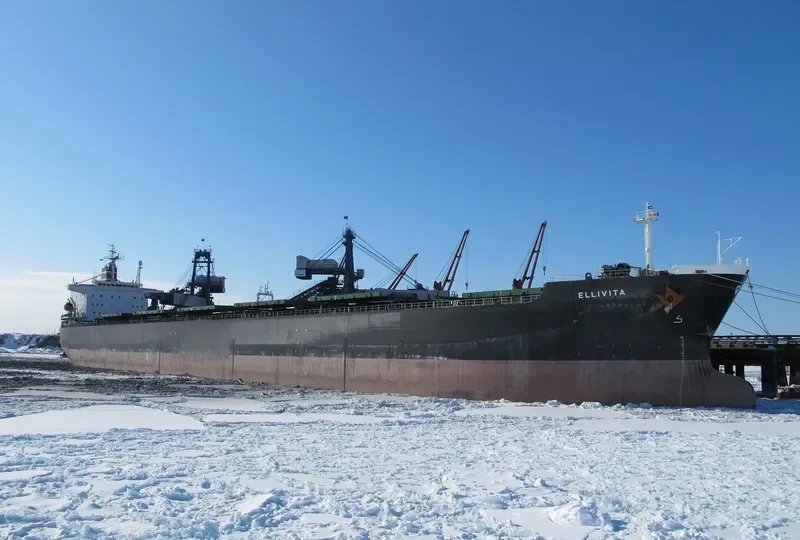 GREAT WENCHAO Bulk Carrier IMO 9171151 photo 4