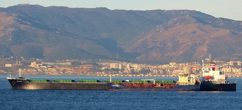 GREAT WENCHAO Bulk Carrier IMO 9171151 photo 6