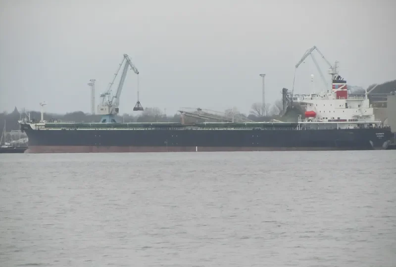 GREAT WENCHAO Bulk Carrier IMO 9171151 photo 7