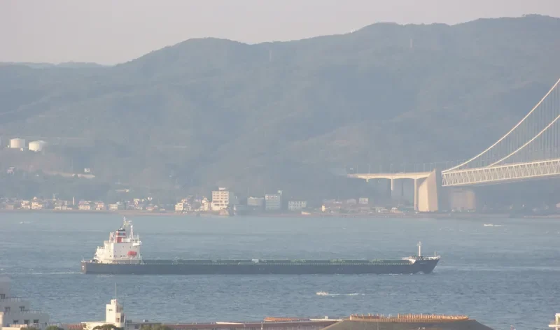 GREAT WENCHAO Bulk Carrier IMO 9171151 photo 9