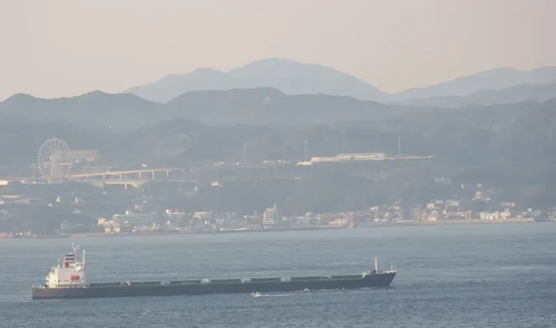 GREAT WENCHAO Bulk Carrier IMO 9171151 photo 10