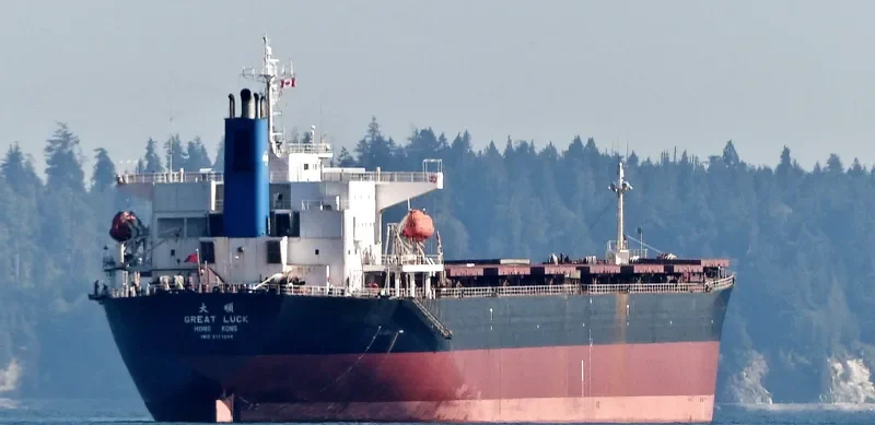 GREAT LUCK Bulk Carrier IMO 9171204 photo 6