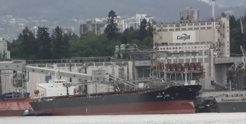 GREAT LUCK Bulk Carrier IMO 9171204 photo 9