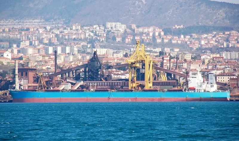 SIANA Bulk Carrier IMO 9171266 photo 5