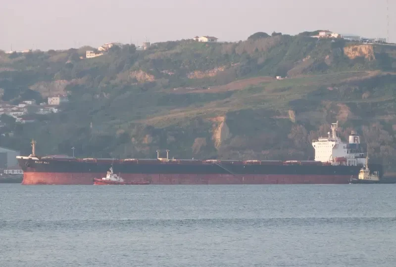 HONG YUN FA ZHAN Bulk Carrier IMO 9171278 photo 7