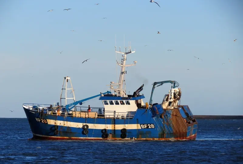 OPPORTUNE General Cargo IMO 9171785 photo 3