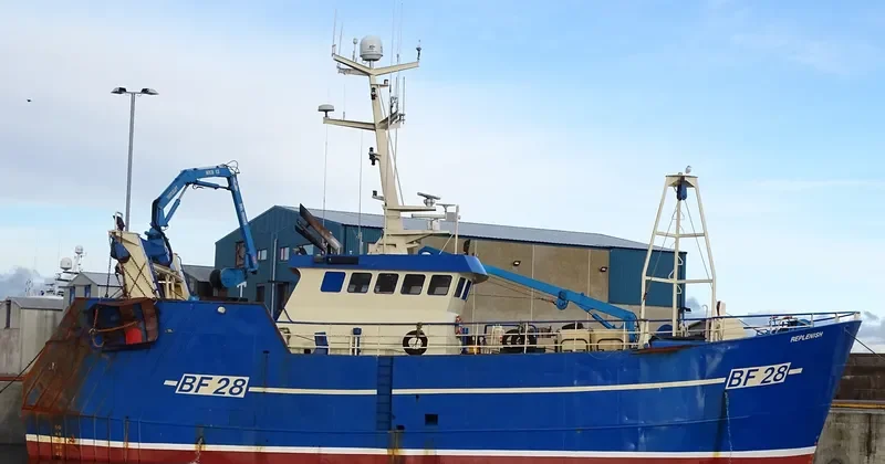 OPPORTUNE General Cargo IMO 9171785 photo 5