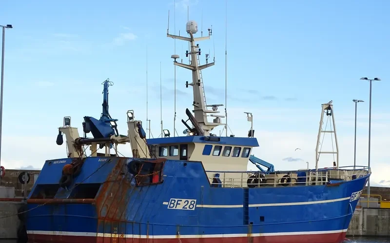 OPPORTUNE General Cargo IMO 9171785 photo 6
