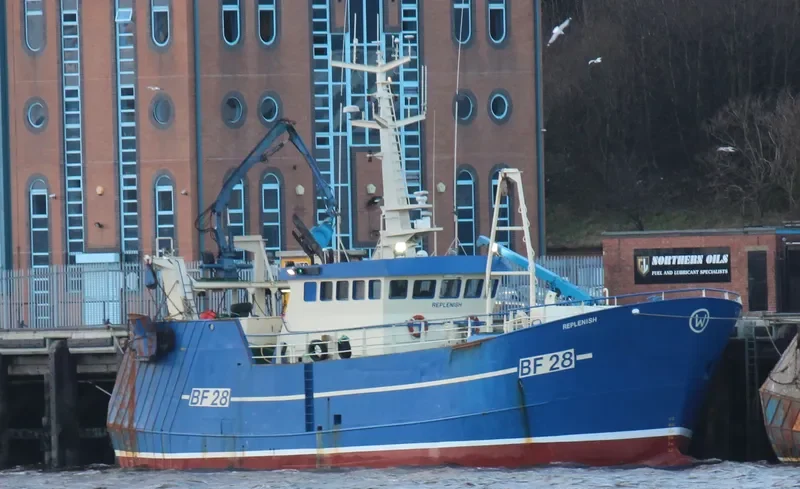 OPPORTUNE General Cargo IMO 9171785 photo 9