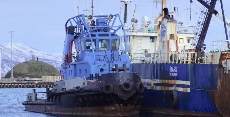 GRETTIR STERKI General Cargo IMO 9171993 photo 5