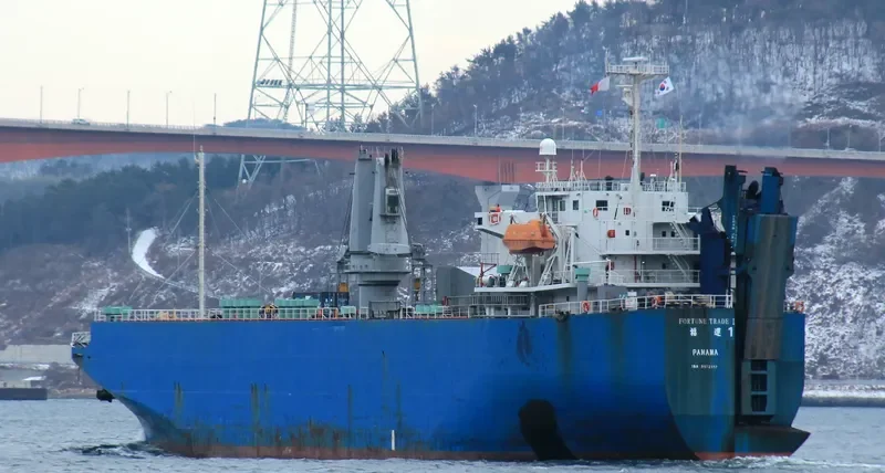 FORTUNE TRADE I General Cargo IMO 9172117 photo 10