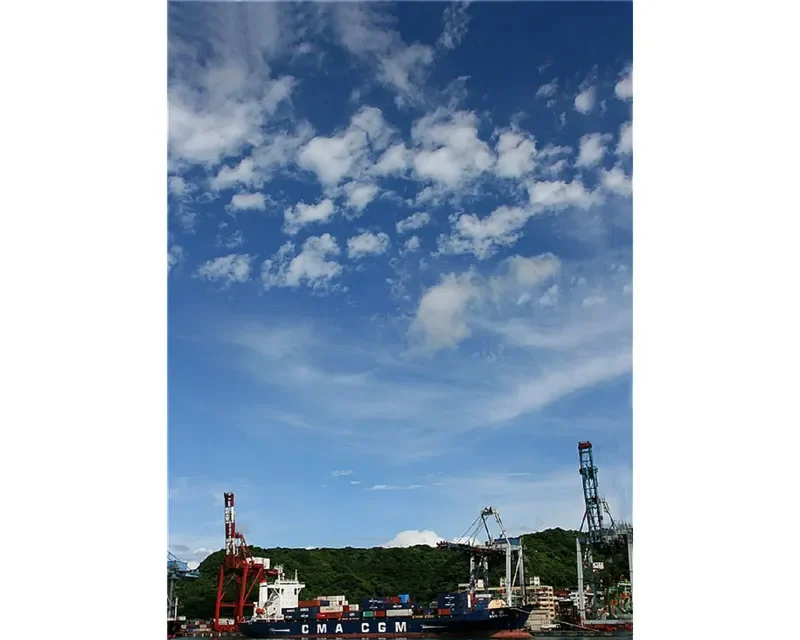 ISEACO WISDOM Container Ship IMO 9172301 photo 2