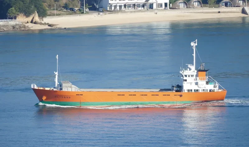NEW TSURUSAKI General Cargo IMO 9172325 photo 5