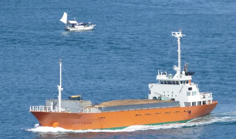 NEW TSURUSAKI General Cargo IMO 9172325 photo 9