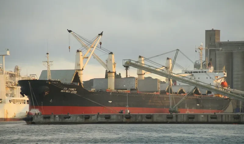 OS 35 Bulk Carrier IMO 9172399 photo 2
