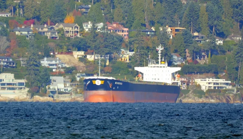 WAN LI Bulk Carrier IMO 9172571