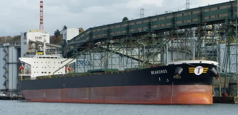 WAN LI Bulk Carrier IMO 9172571 photo 2