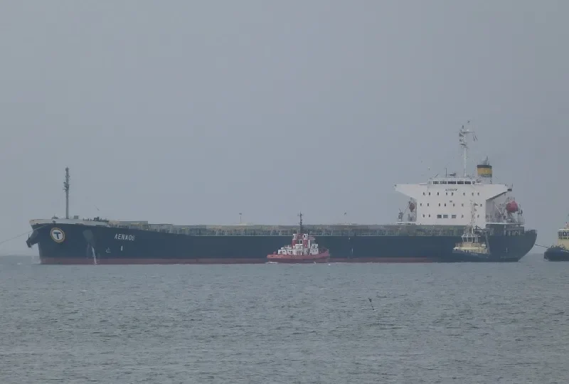 WAN LI Bulk Carrier IMO 9172571 photo 8