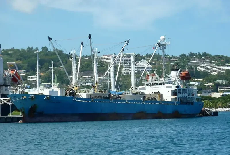 SEIYU General Cargo IMO 9172909 photo 6
