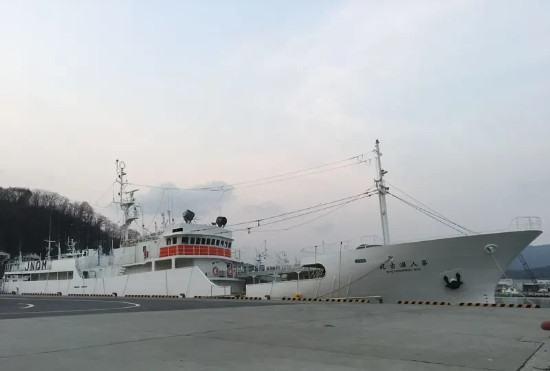 RYOYOSHI MARU NO.8 General Cargo IMO 9172911 photo 2