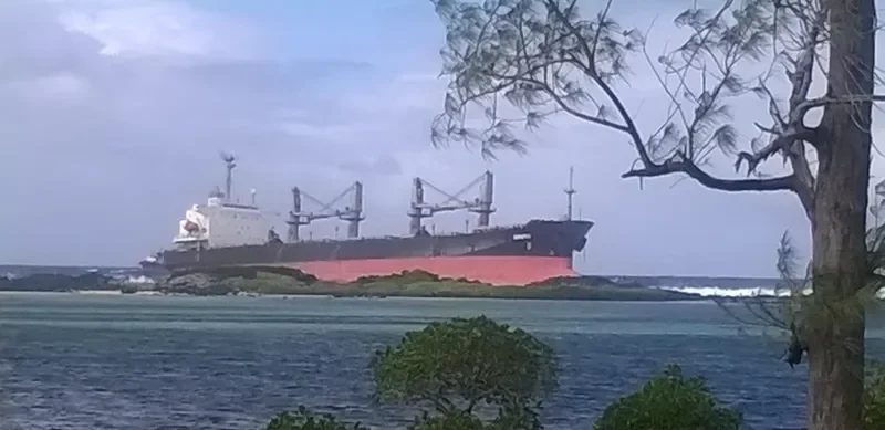 BENITA Bulk Carrier IMO 9172961 photo 3