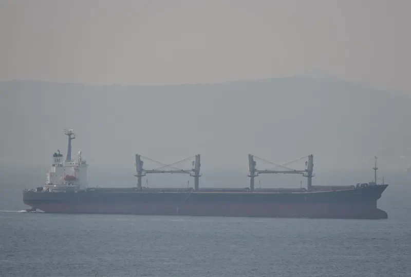 BENITA Bulk Carrier IMO 9172961 photo 7