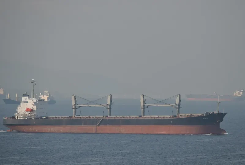 BENITA Bulk Carrier IMO 9172961 photo 8