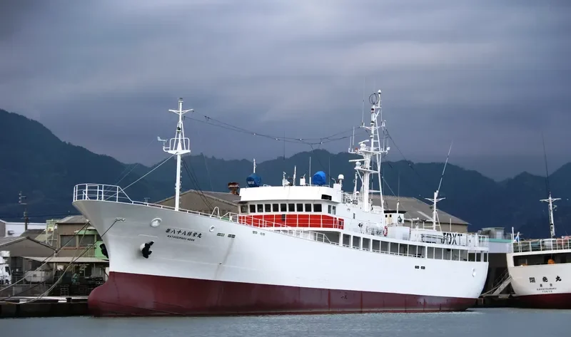 KATSUEI MARU NO.88 General Cargo IMO 9172973 photo 4