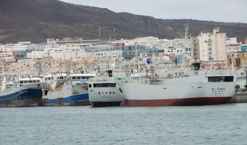 TAI HONG 8 General Cargo IMO 9173006
