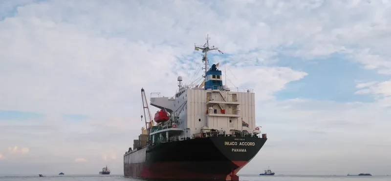 INLACO ACCORD Bulk Carrier IMO 9173018 photo 3