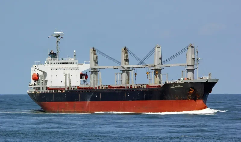 GREAT FRIENDSHIP Bulk Carrier IMO 9173020 photo 2